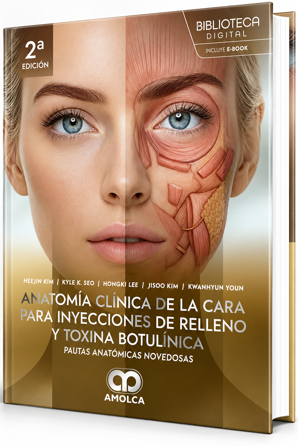 Anatomía clínica de la cara para inyecciones de relleno y toxina botulínica. Pautas anatómicas novedosas